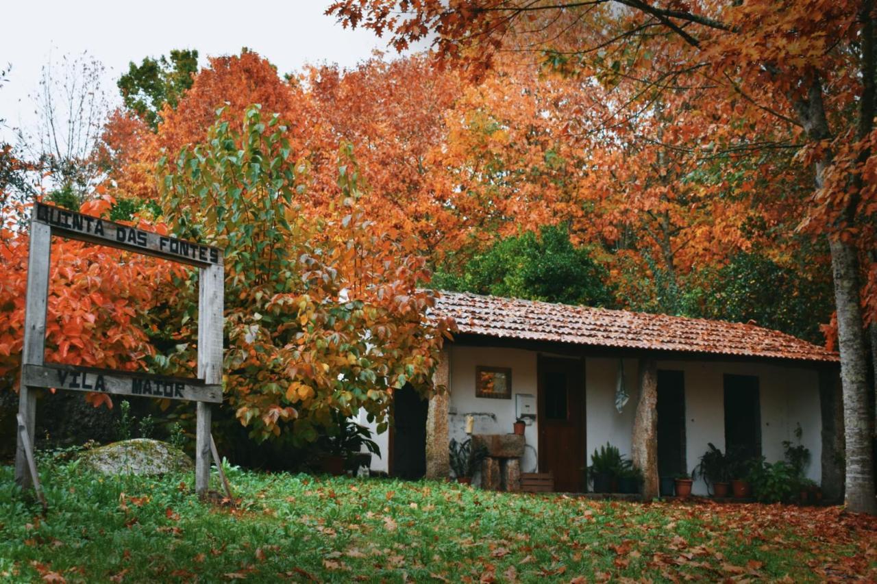 Quinta Das Fontes - Alojamento Rustico Local E Turismo Rural Сан-Педру-ду-Сул Екстер'єр фото