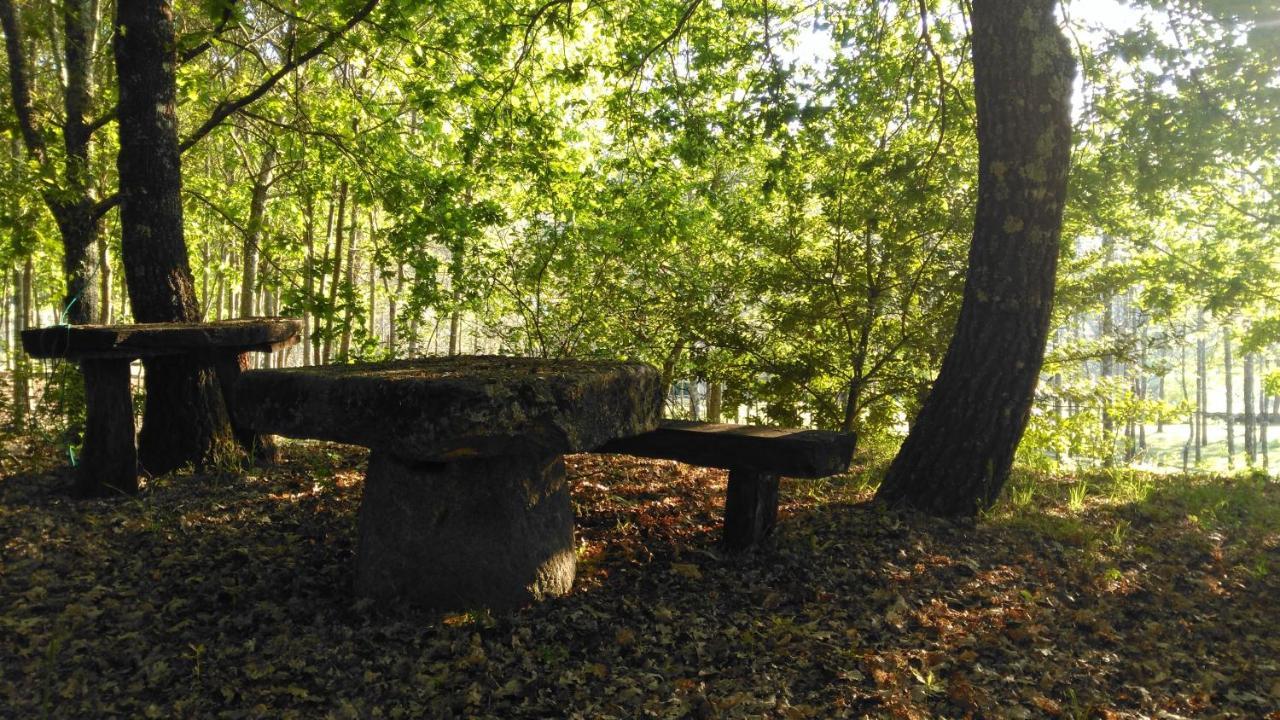 Quinta Das Fontes - Alojamento Rustico Local E Turismo Rural Сан-Педру-ду-Сул Екстер'єр фото