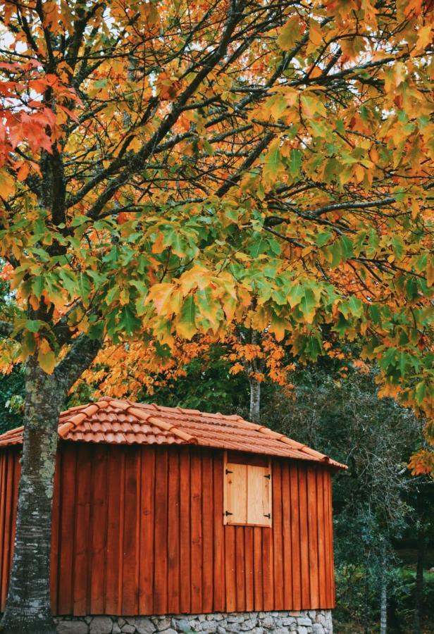 Quinta Das Fontes - Alojamento Rustico Local E Turismo Rural Сан-Педру-ду-Сул Екстер'єр фото