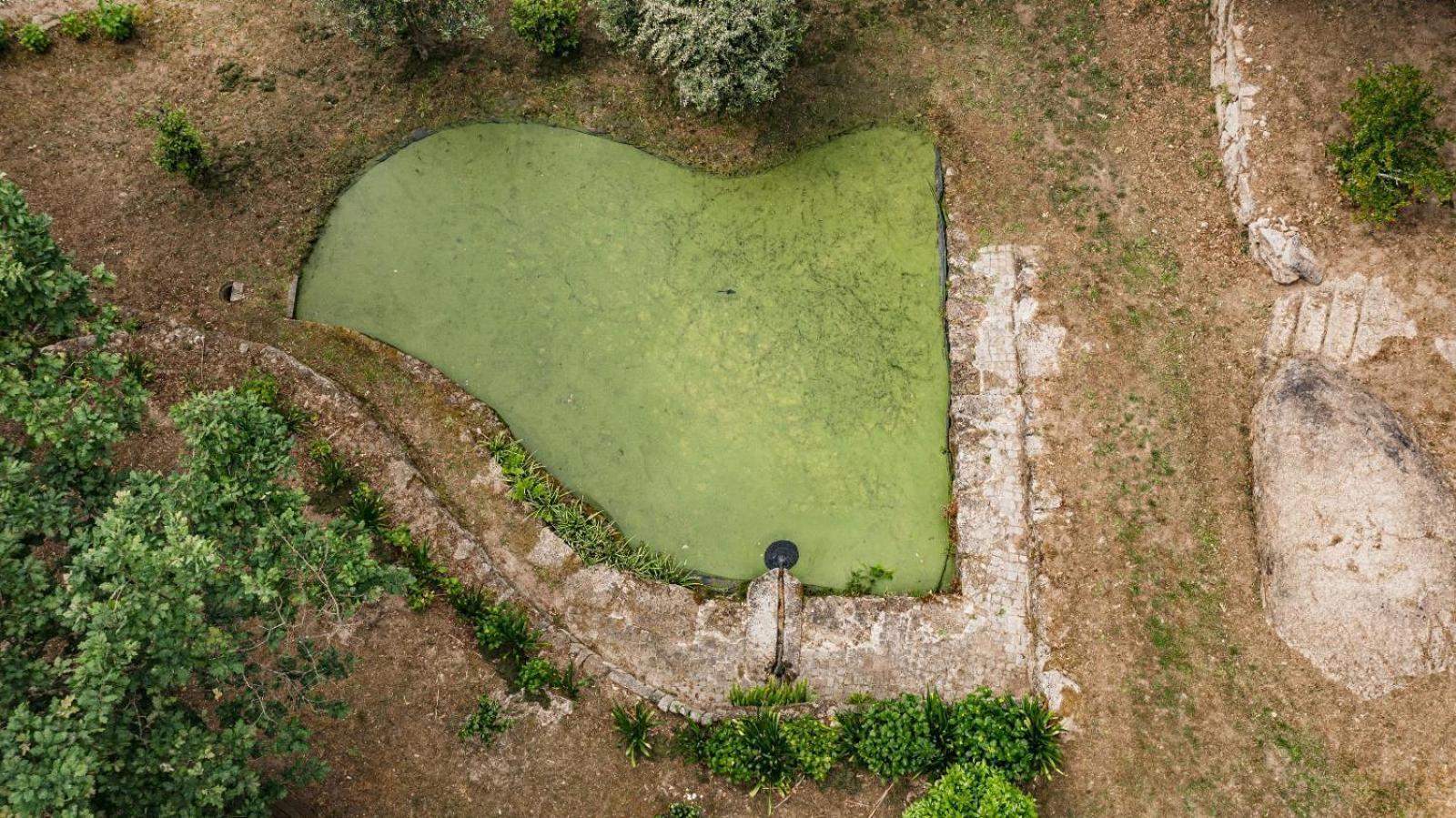 Quinta Das Fontes - Alojamento Rustico Local E Turismo Rural Сан-Педру-ду-Сул Екстер'єр фото